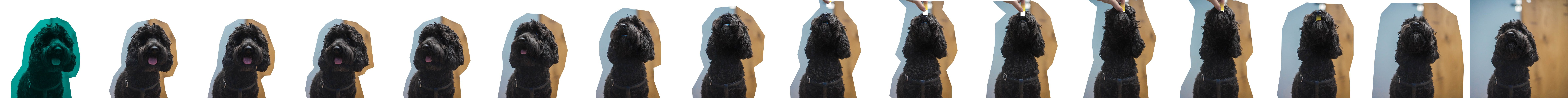 about-arlo about-arlo