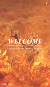 Border simple photography WordPress theme Mobile Responsive