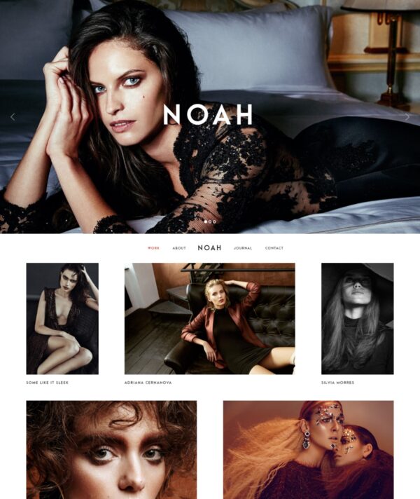 Desktop View for Noah lite a free WordPress theme for photographers