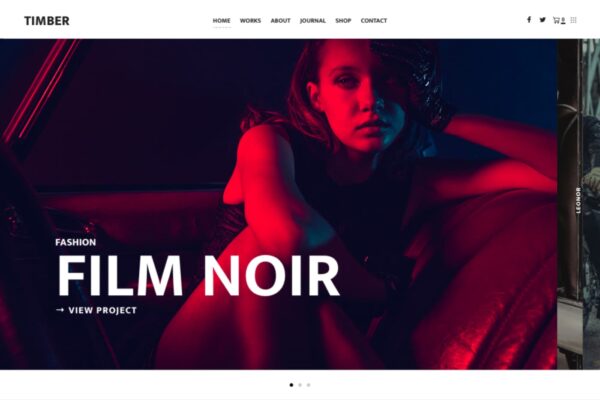 Timber Lite a Free elegant photography WordPress theme
